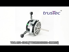 Changzhou Trustec Motor YDK-250-6B61 Testing Video