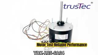 Changzhou Trustec YDK-185-6A64  Condenser Fan Motor Test.