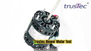 Changzhou Trustec AC Blower Motor Test YDK-38-4B60